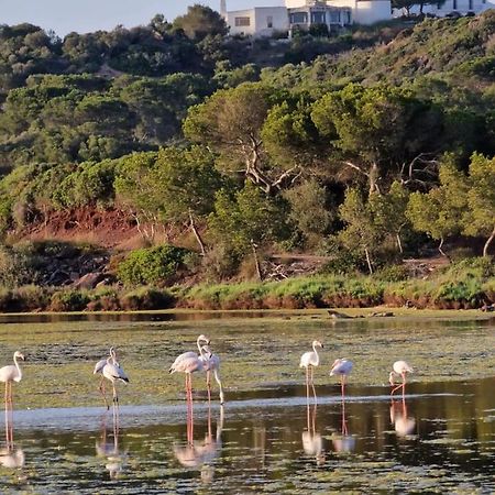 Mongofre Agroturismo Mahón Zewnętrze zdjęcie