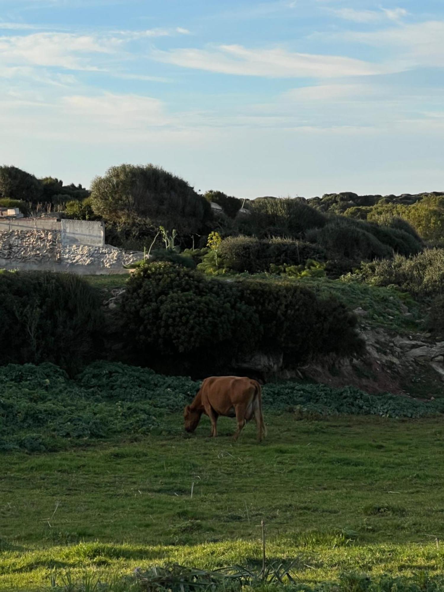 Mongofre Agroturismo Mahón Zewnętrze zdjęcie